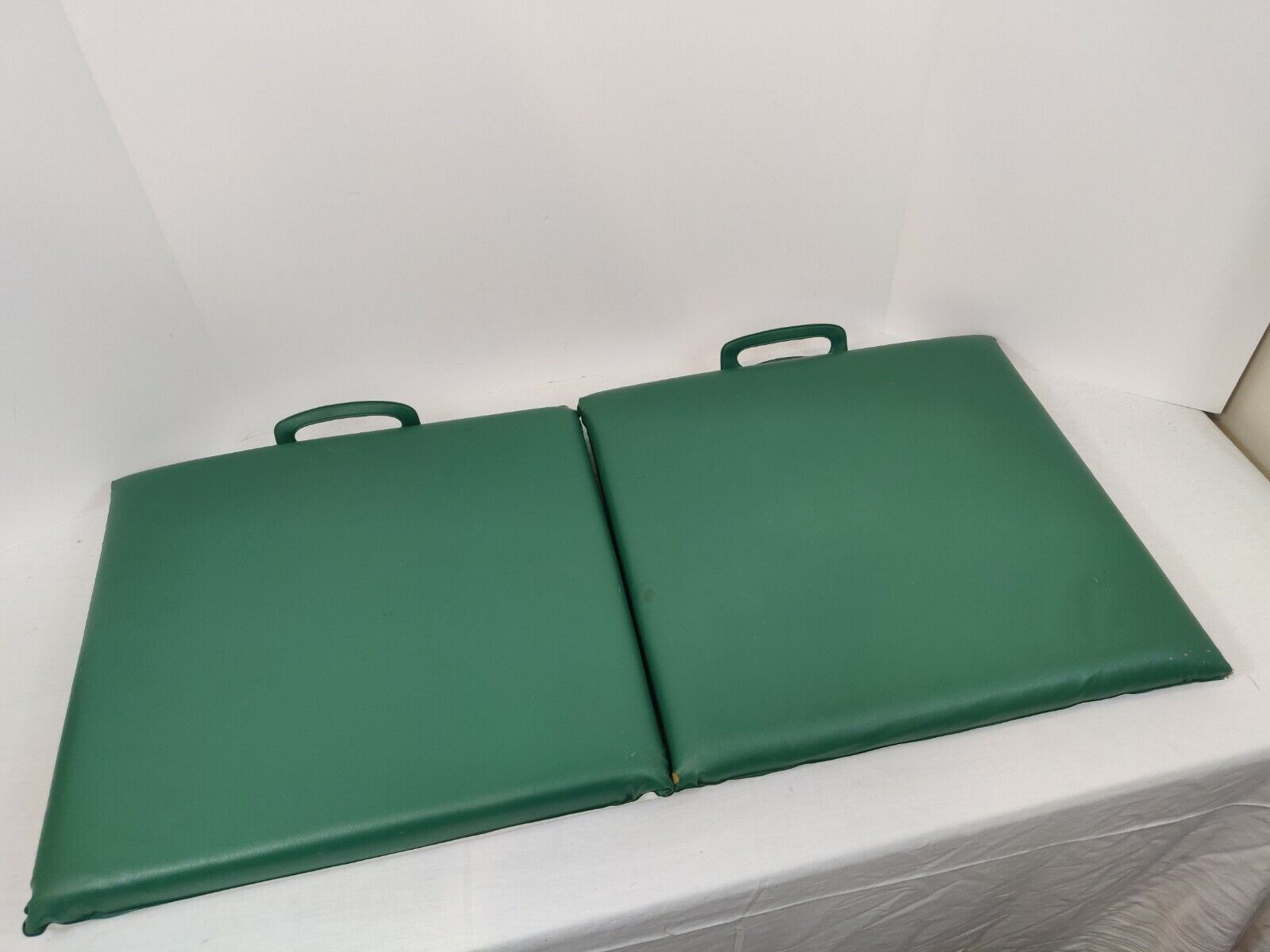 Vintage - Green Bay Packers Football (NFL) Seat Cushion Set of 2, White/Green