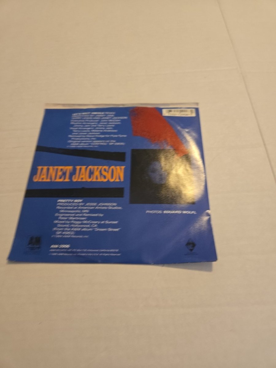Janet Jackson Let's Wait Awhile 45 RPM Vinyl Record - Vinyl - ThrowbackBuys - Amanda's Awesome Finds