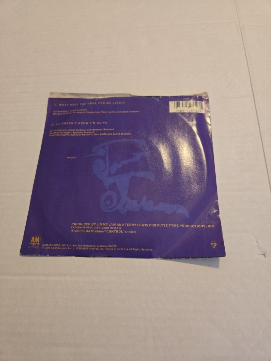 Janet Jackson What Have You Done For Me Lately 45 RPM Vinyl Record - Vinyl - ThrowbackBuys - Amanda's Awesome Finds