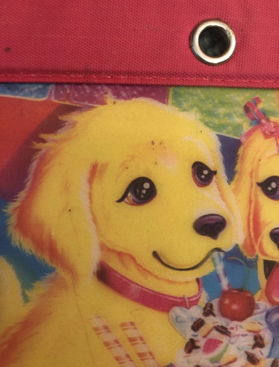 Lisa Frank Casey & Candy Pencil Pals Case Bag 3 Ring Zipper Pouch Puppy Dog - Paper Goods - ThrowbackBuys - Abunnysvintageco