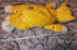 Lisa Frank Sunflower 24" Jumbo Cat Plush - Collectible Toys - ThrowbackBuys - Forevertreasuresthrift