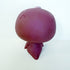 Littlest Pet Shop Penguin Jumbo Bobble Head Hasbro - Action Figures & Collectibles - ThrowbackBuys - Nostalgicepisodes