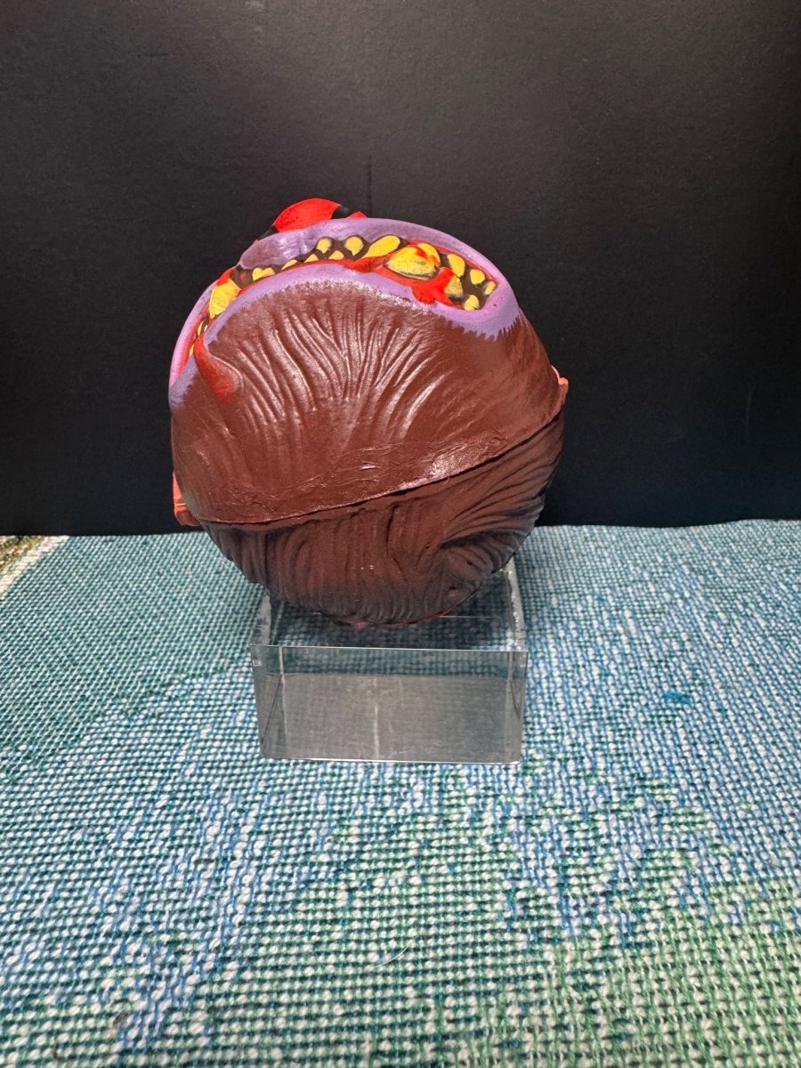Madballs Wolfbreath - Action Figures & Collectibles - ThrowbackBuys -Toys From The Crypt