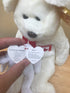 Maple the Bear TY Beanie Baby Set – Canada Exclusive (Regular + Jumbo Plush) - Collectible Toys - ThrowbackBuys - Japricanx