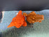 Mini Boglins Lot of 2 - Action Figures & Collectibles - ThrowbackBuys -toys from the crypt