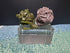 Mini Boglins Lot of 2 - Action Figures & Collectibles - ThrowbackBuys -toys from the crypt