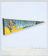 1990s – NBA Anfernee "Penny" Hardaway Orlando Magic Felt Pennant Flag 30" x 12"
