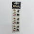 Sandylion Spider Sticker Sheet Halloween - Stickers - ThrowbackBuys - NostalgicEpisodes