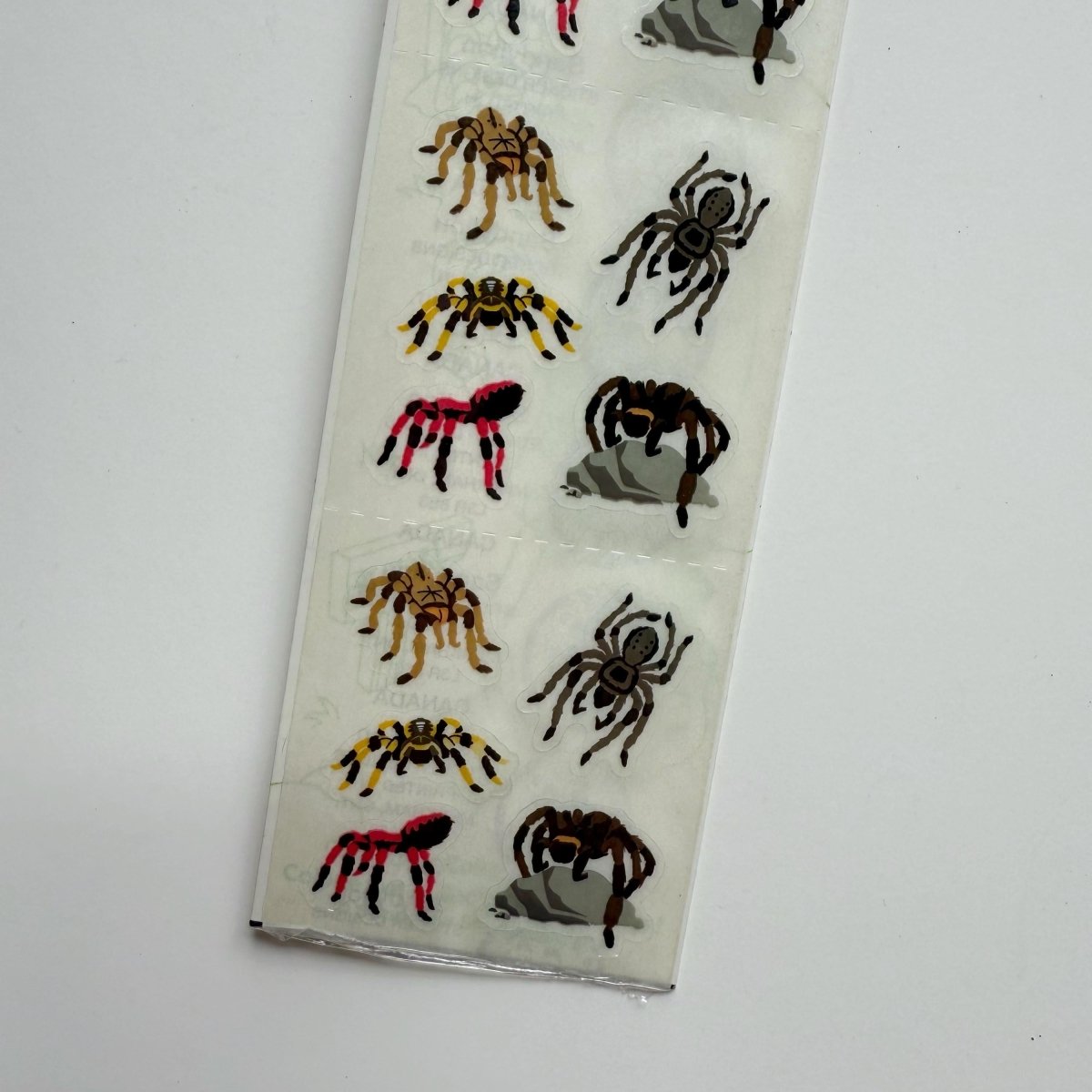 Sandylion Spider Sticker Sheet Halloween - Stickers - ThrowbackBuys - NostalgicEpisodes
