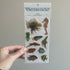 Silverwings Collector Sticker Sheets 1991 Vintage Butterflies Animals Fish - Memorabilia - ThrowbackBuys - NostalgicEpisodes