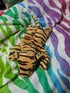 Stripes the Tiger Ty Beanie Baby 1995 Bean Plush - Plushies - ThrowbackBuys - Furby Queen
