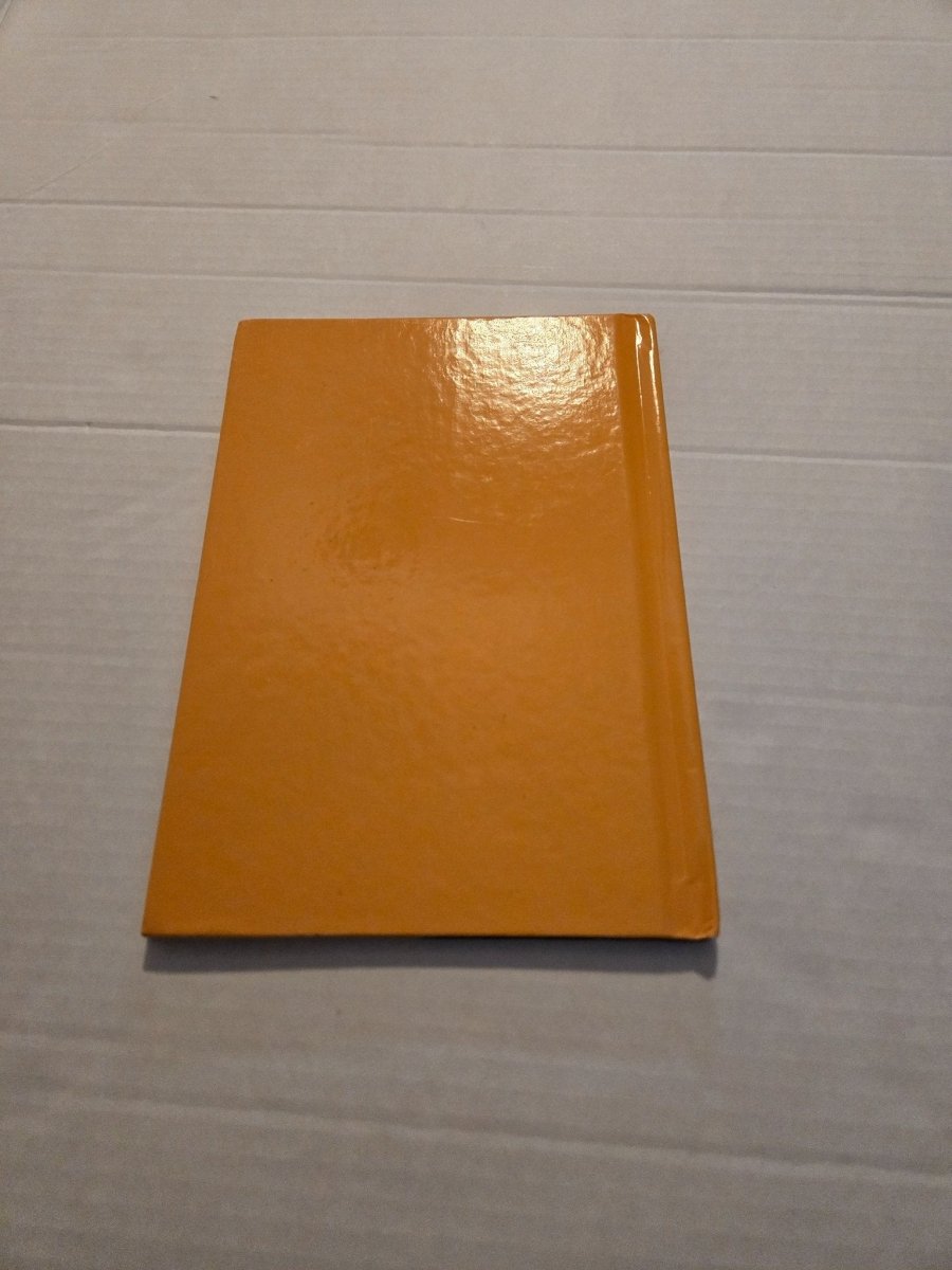 The Lion King II Simba's Pride Book - Books - ThrowbackBuys - Amanda's Awesome Finds