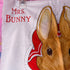 Vintage 1985 Beatrix Potter Fabric - Mrs Bunny Cut and Sew Panel