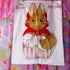 Vintage 1985 Beatrix Potter Fabric - Mrs Bunny Cut and Sew Panel