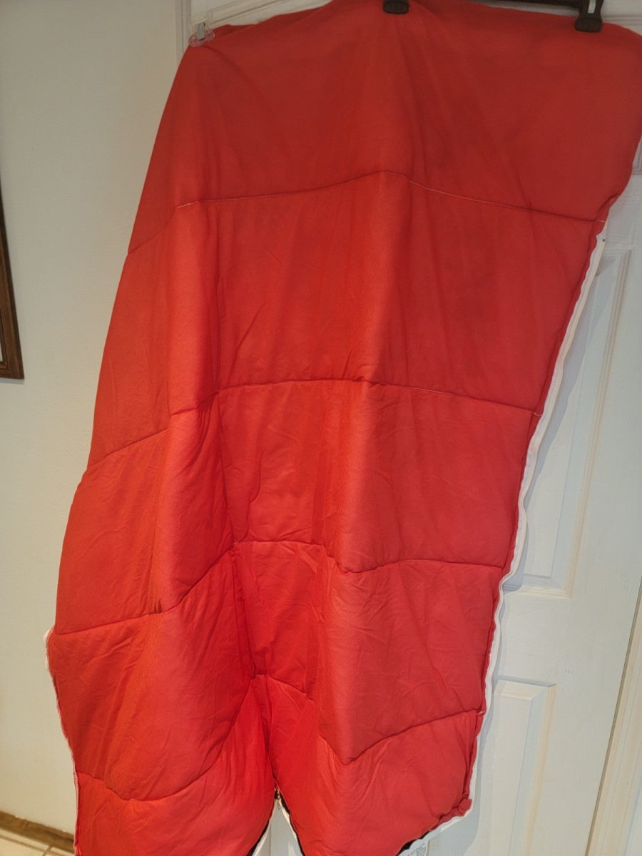 Vintage 1995 Adventures Of Batman And Robin Sleeping Bag DC Comics - Sleeping Bags - ThrowbackBuys - Amanda's Awesome Finds