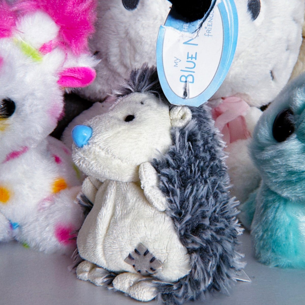 Vintage 2000s My Blue Nose Friends - Konker the Hedgehog Plush - Plushies - ThrowbackBuys -Starbunnyvintage