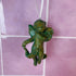 Vintage 90s Cherub Ornament - Green Gold Angel Figurine - Ornaments - ThrowbackBuys -Starbunnyvintage