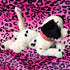 Vintage 90s Disney 101 Dalmatians Plush - Jumbo 20” - Plushies - ThrowbackBuys -Starbunnyvintage
