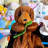 Vintage 90s Ty Beanie Baby - Seaweed the Otter - Plushies - ThrowbackBuys -Starbunnyvintage