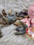 Vintage - Beanie Babies Collection: Inky The Octopus, Jolly The Walres And Claude The Crab w/Errors - Collectible Toys - ThrowbackBuys - The Thrifty Gypsyy Shop