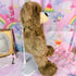 Vintage Build a Bear Plush Bearemy – 1997 Retired Mascot - Plushies - ThrowbackBuys - Starbunnyvintage
