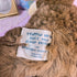 Vintage Build a Bear Plush Bearemy – 1997 Retired Mascot - Plushies - ThrowbackBuys - Starbunnyvintage