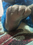 Vintage My Pet Monster Plush (85/86) - Action Figures & Collectibles - ThrowbackBuys -toys from the crypt