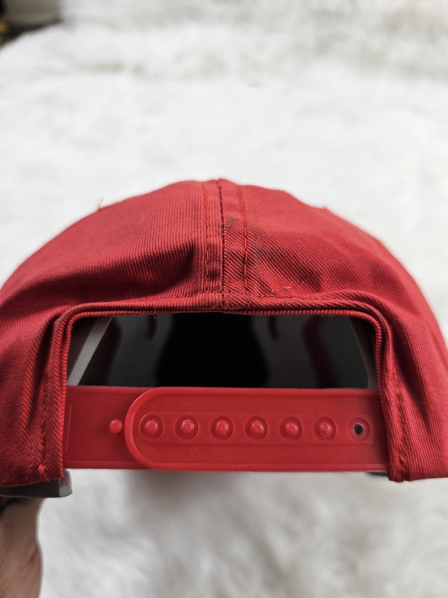 Vintage Rare Pink/Red Road Runner Beep Beep Snapback Hat Looney Tunes Cartoons - Hats - ThrowbackBuys - The Thrifty Gypsyy Shop