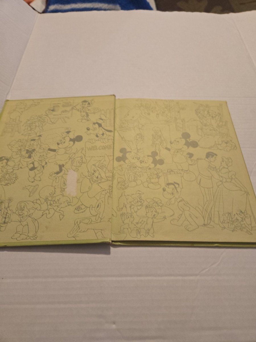 Vintage Walt Disney Big and Little, Same and Different Volume 4 - Books - ThrowbackBuys - Amanda's Awesome Finds