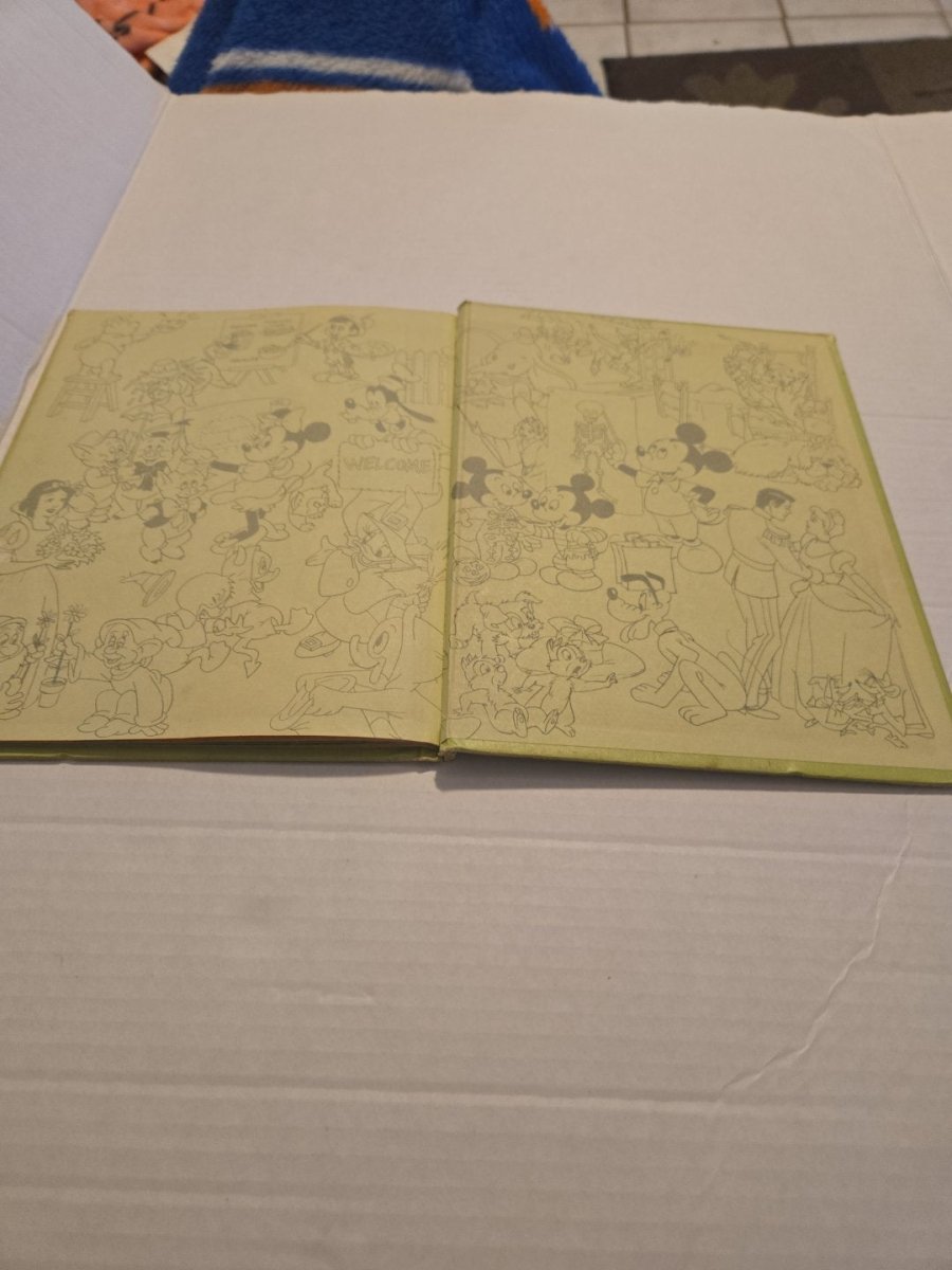 Vintage Walt Disney Big and Little, Same and Different Volume 4 - Books - ThrowbackBuys - Amanda's Awesome Finds