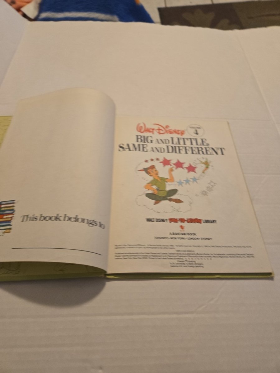 Vintage Walt Disney Big and Little, Same and Different Volume 4 - Books - ThrowbackBuys - Amanda's Awesome Finds