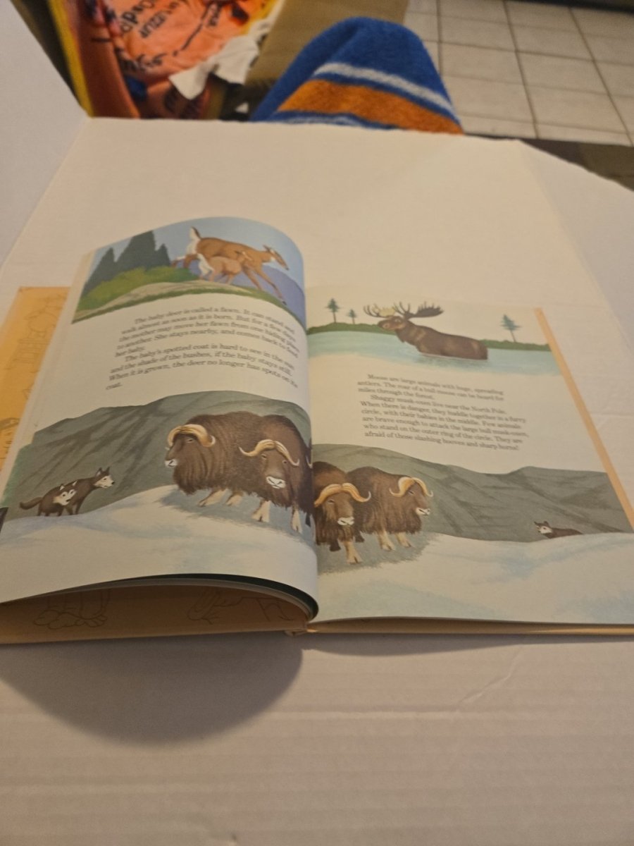 Walt Disney Fun To Learn Book Volume 5 Animals and Their Babies - Books - ThrowbackBuys - Amanda's Awesome Finds