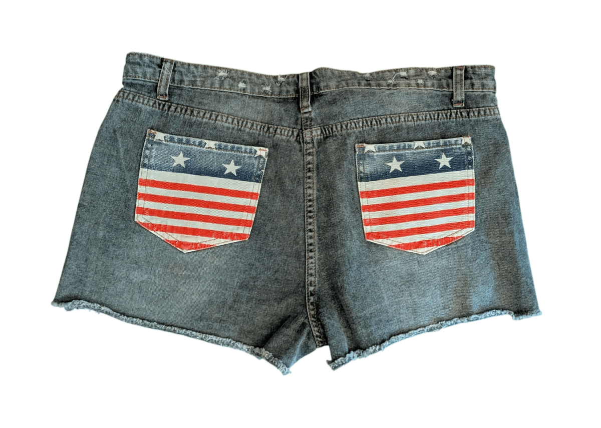 Y2K - Inspired Bald Eagle Shorts - Shorts - ThrowbackBuys - Shiznit